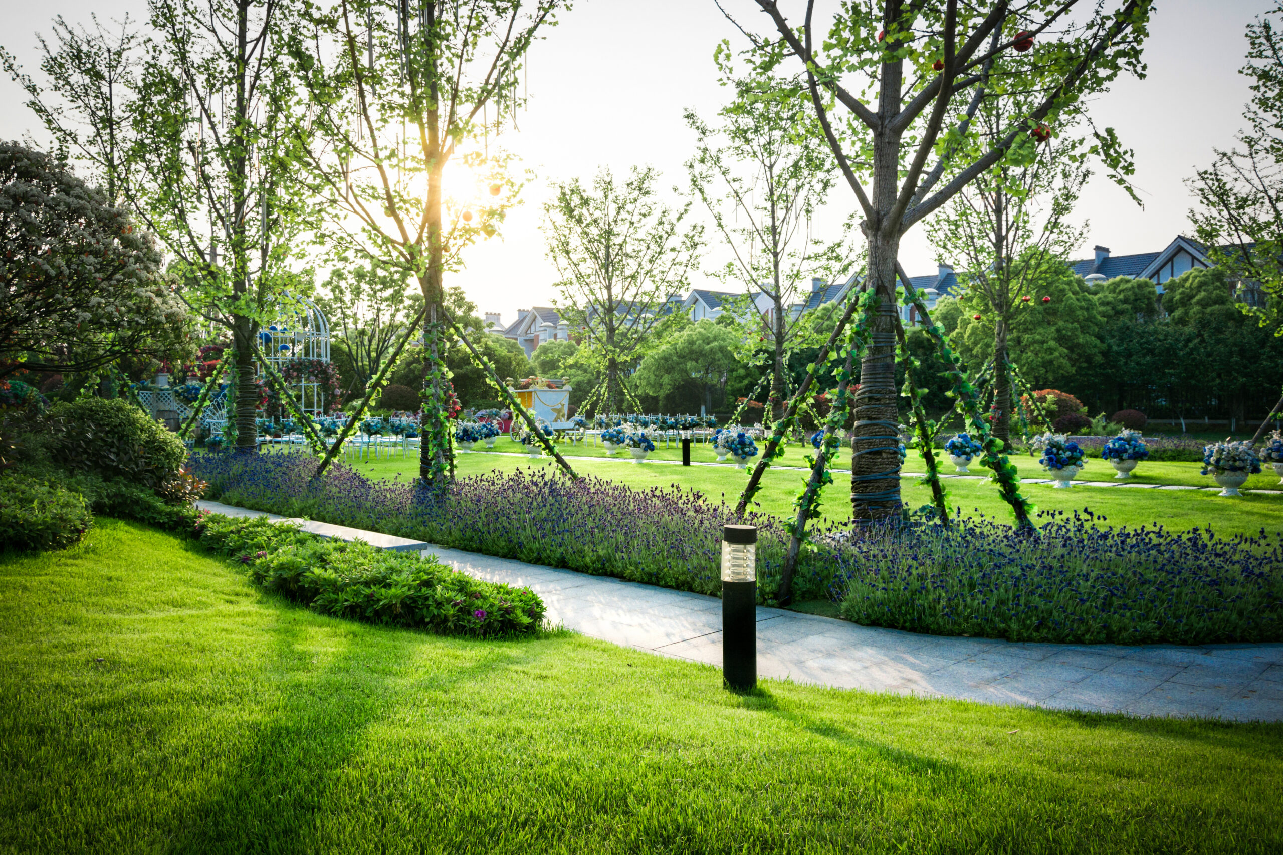 Landscaped Garden